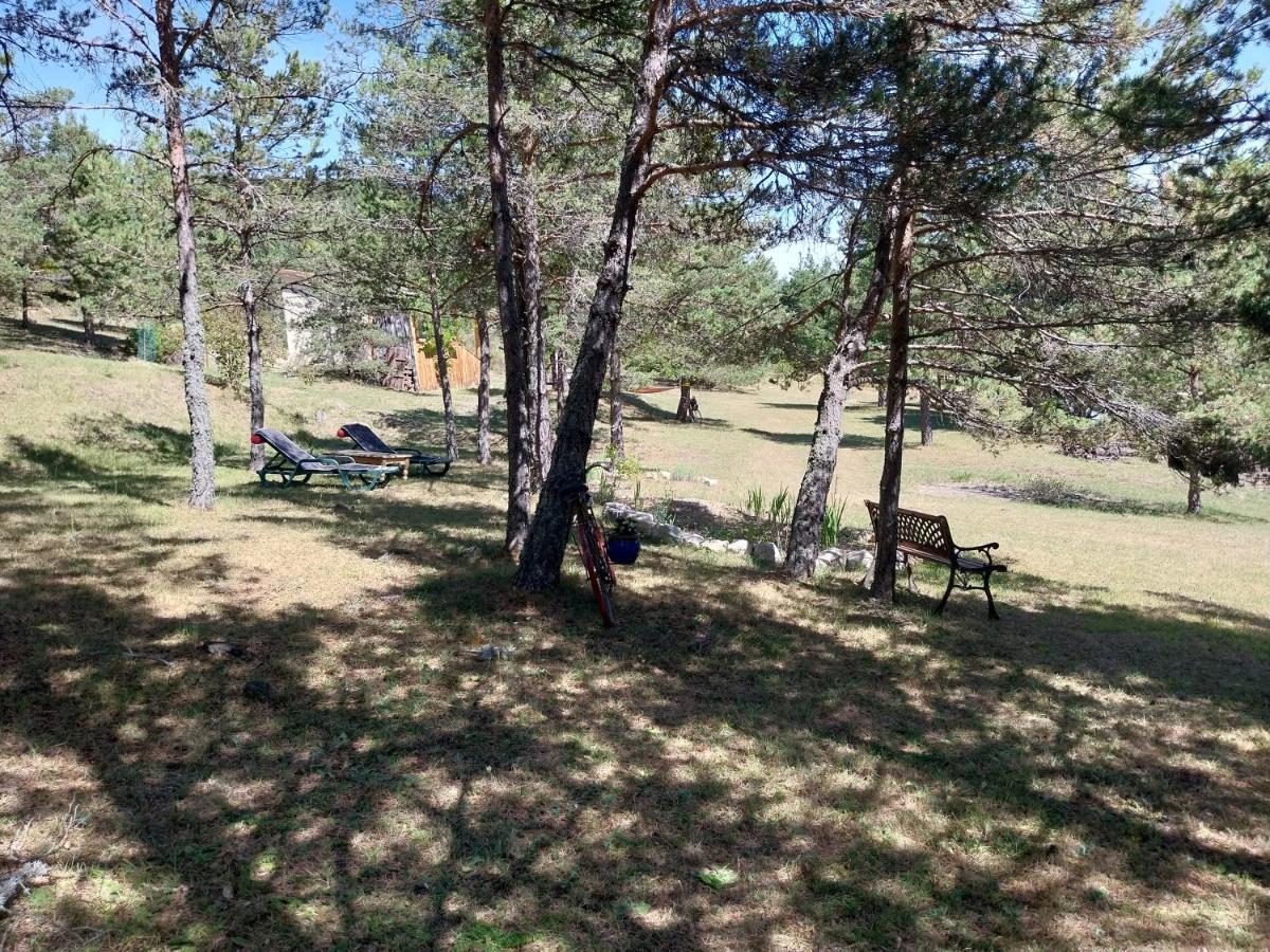 Petit Studio Dans La Prairie Saint-Auban  エクステリア 写真